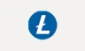 Litecoin at the SpinBoss cashier
